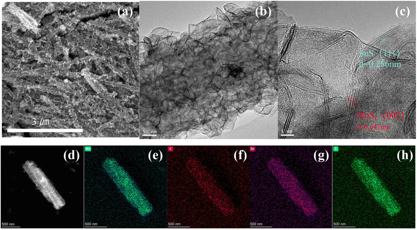 Forming SnS@C/MoS 2 nanotubes with high specific surface area via