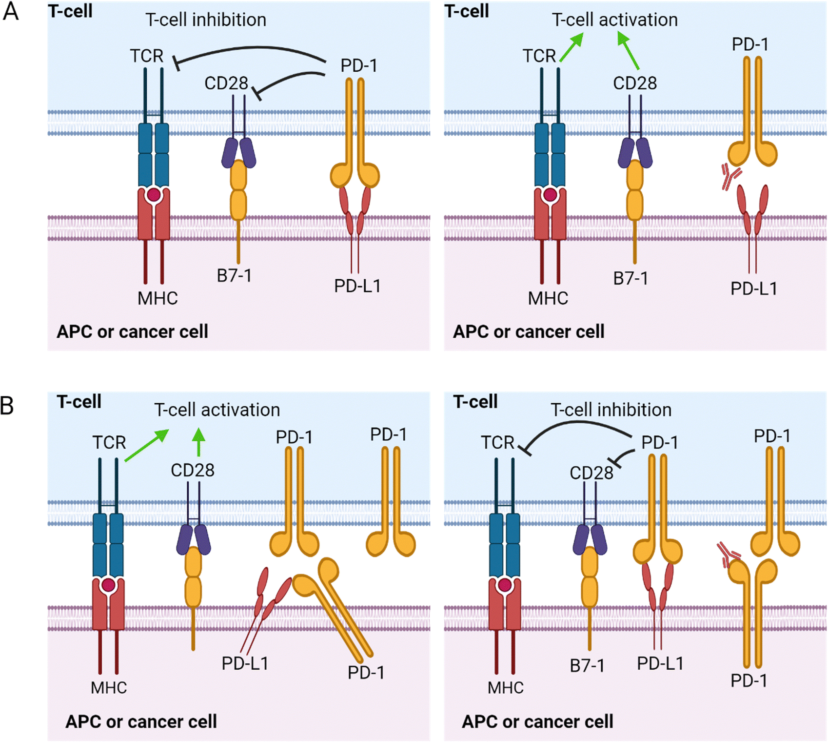 Engineered biological nanoparticles as nanotherapeutics for tumor
