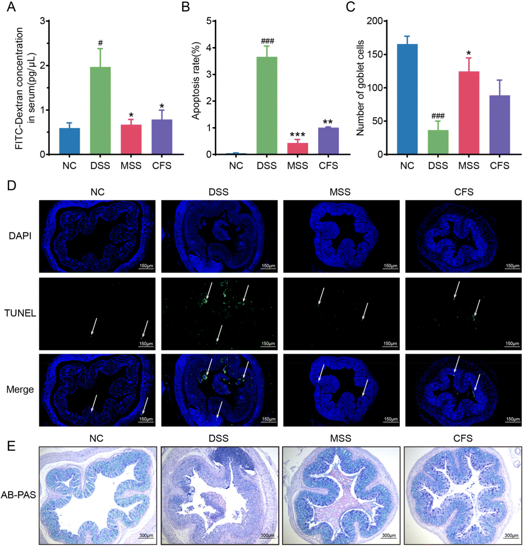 Miao sour soup alleviates DSS-induced colitis in mice: modulation