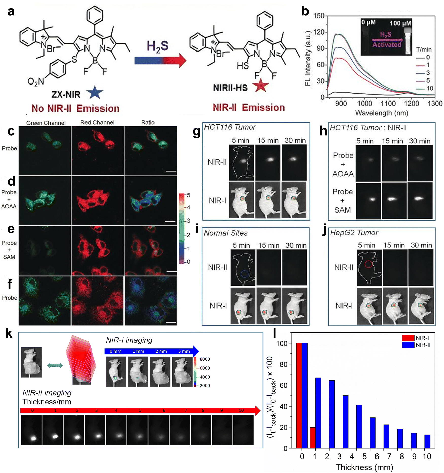 Construction and optimization of organic fluorophores in NIR-II