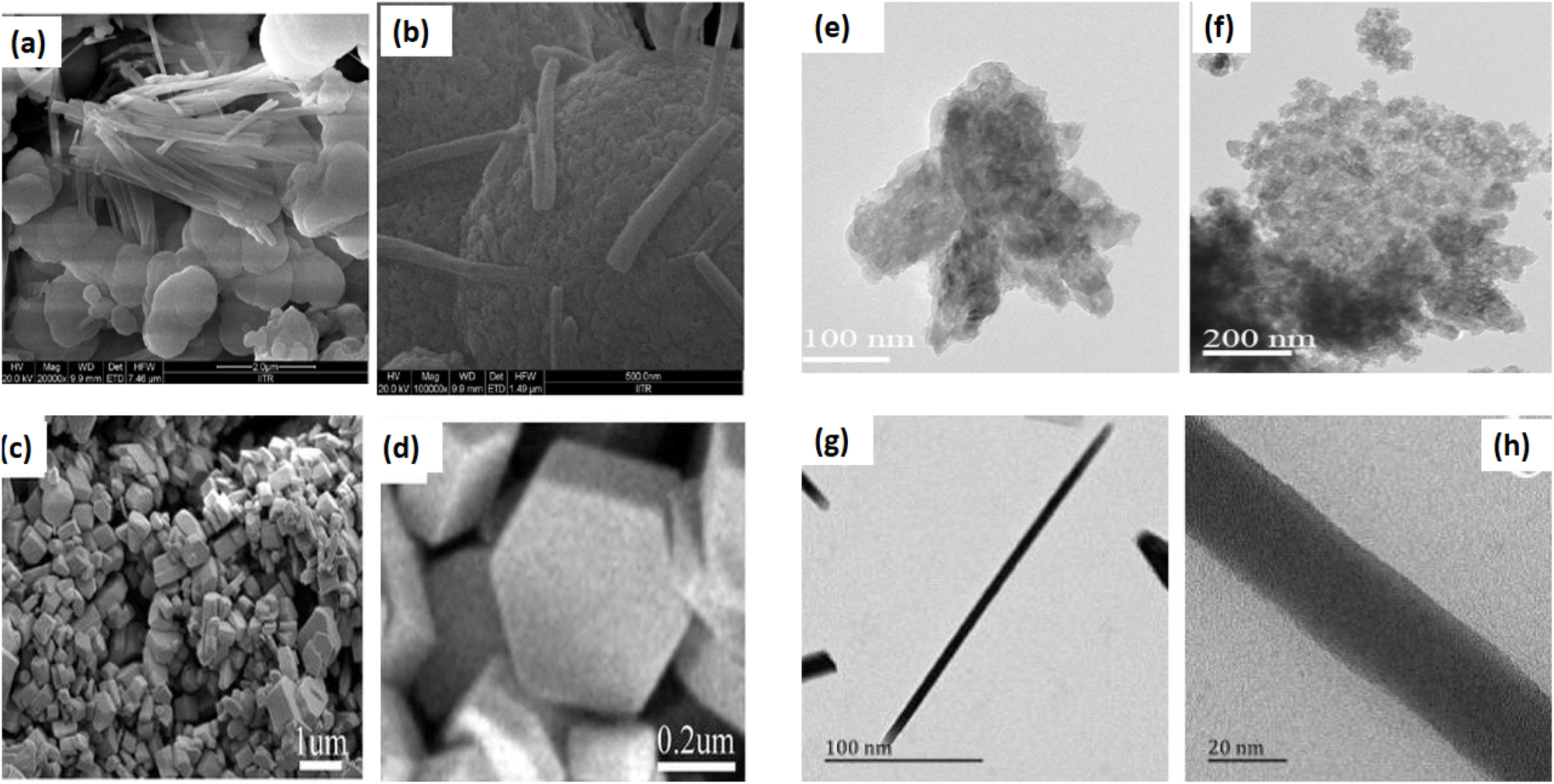 Zinc selenide engineered nanostructures: insights into