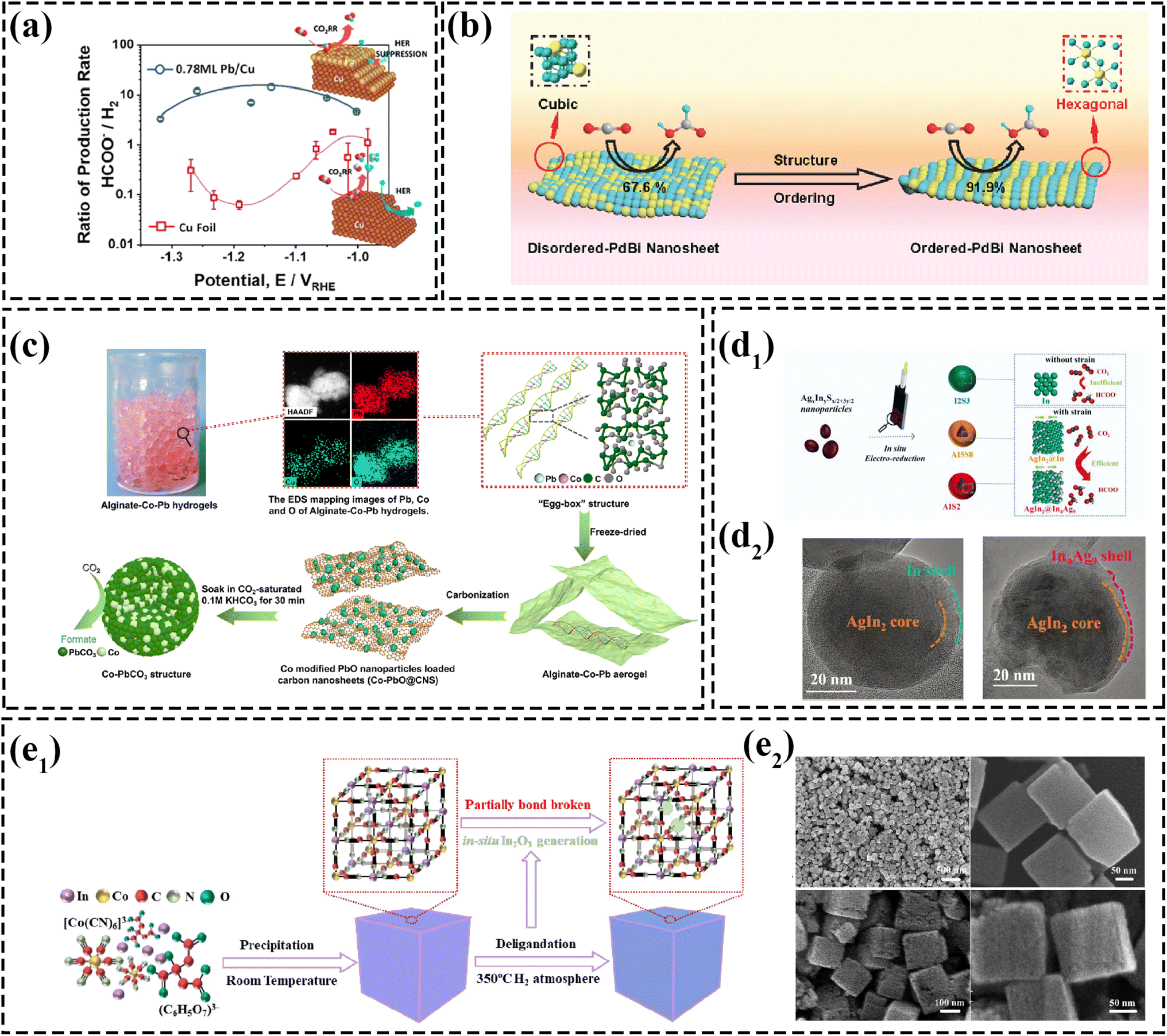 Role mechanisms, design principles and engineering strategies of