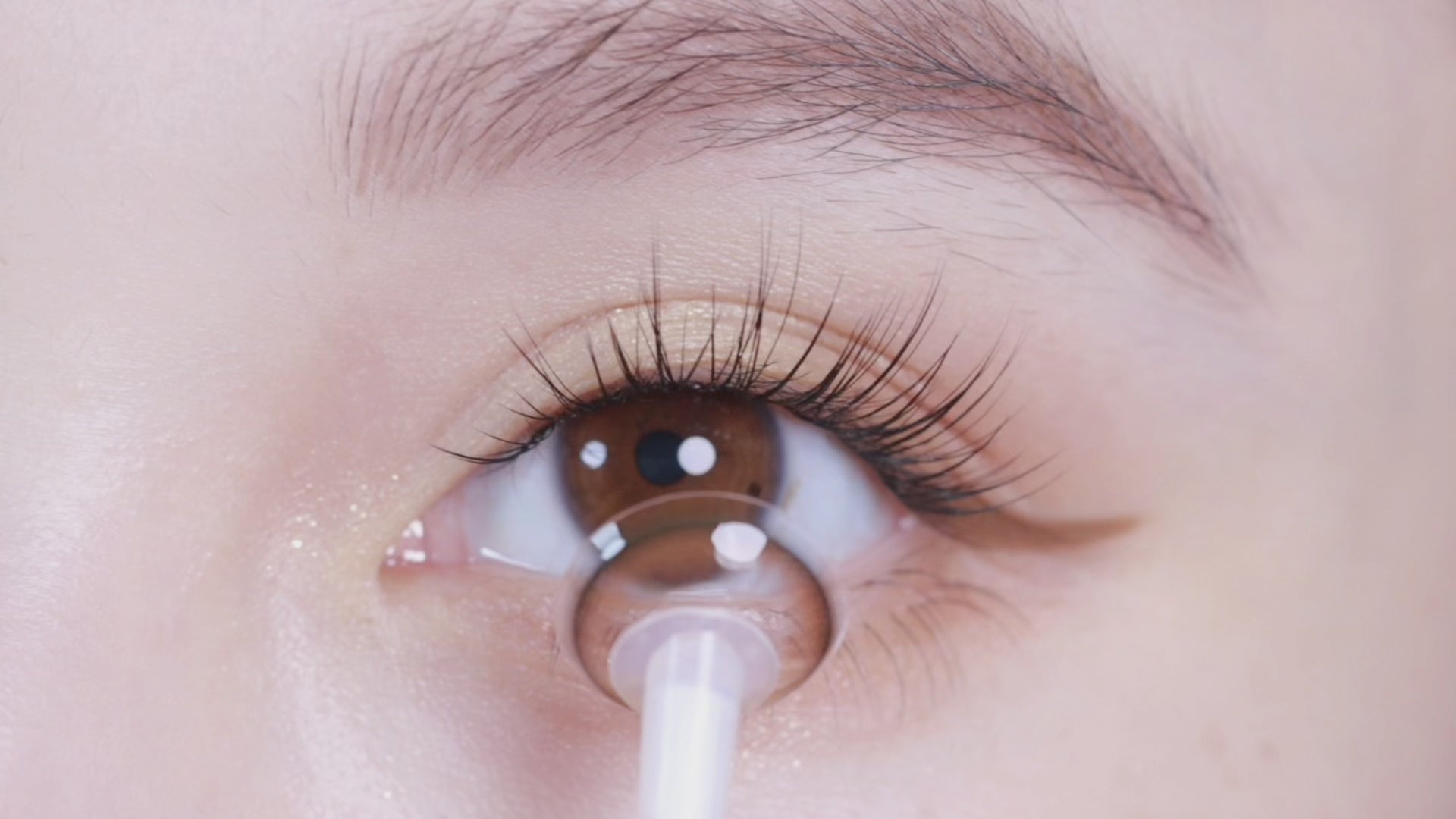 Sunset Coffee [LILMOON] | 1day Colored Contact Lens - DIA 14.2mm