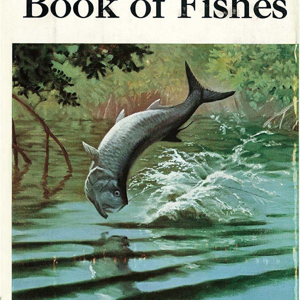 先ヨミ】サカナクション、ベストAL『魚図鑑』が5万枚目前の売上で現在