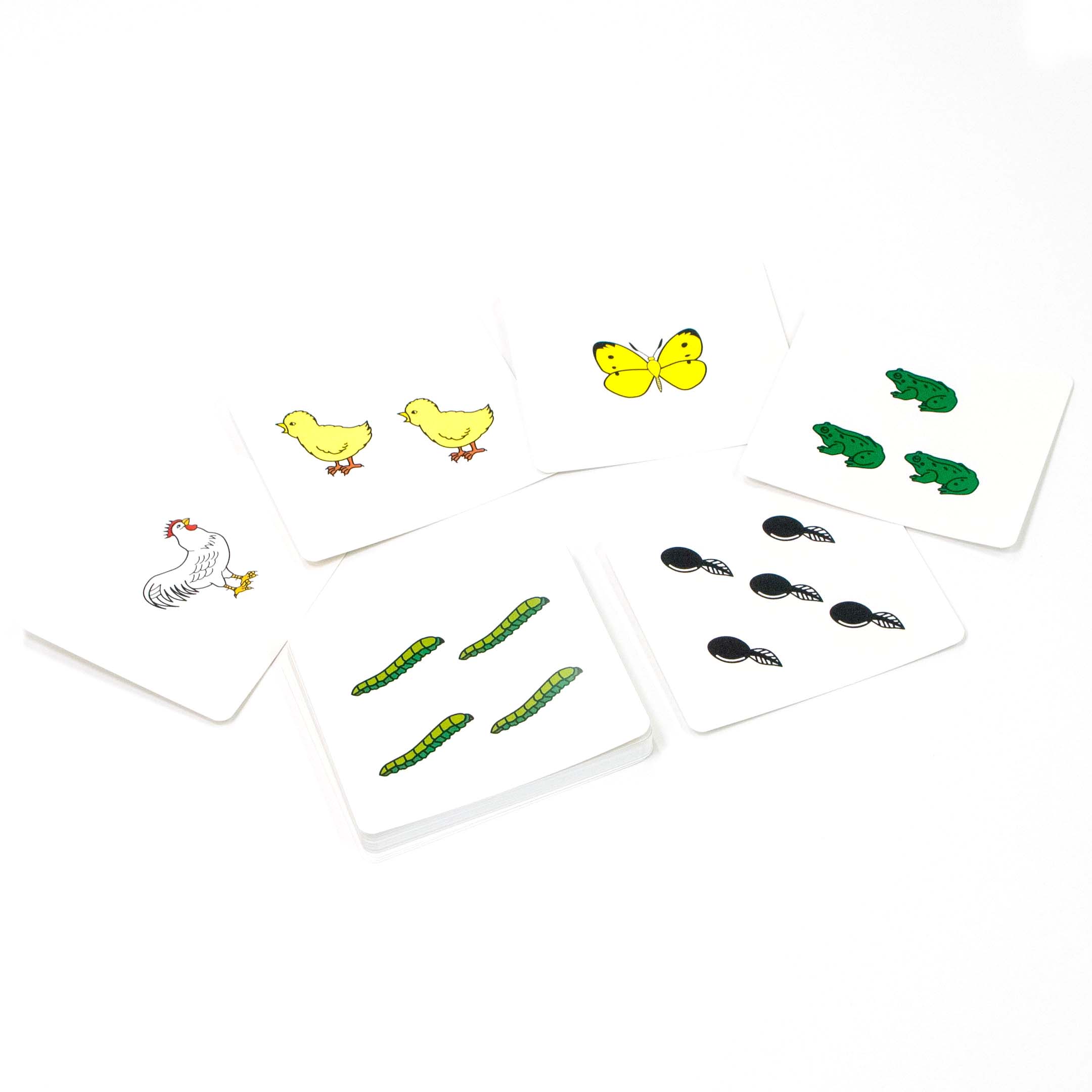 学具紹介 - 幼児教室・通信教育 ピグマリオン公式ホームページ | 幼児