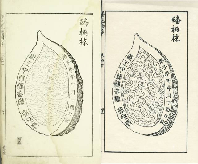 董亚媛：《程氏墨苑》图像研究_搜狐网
