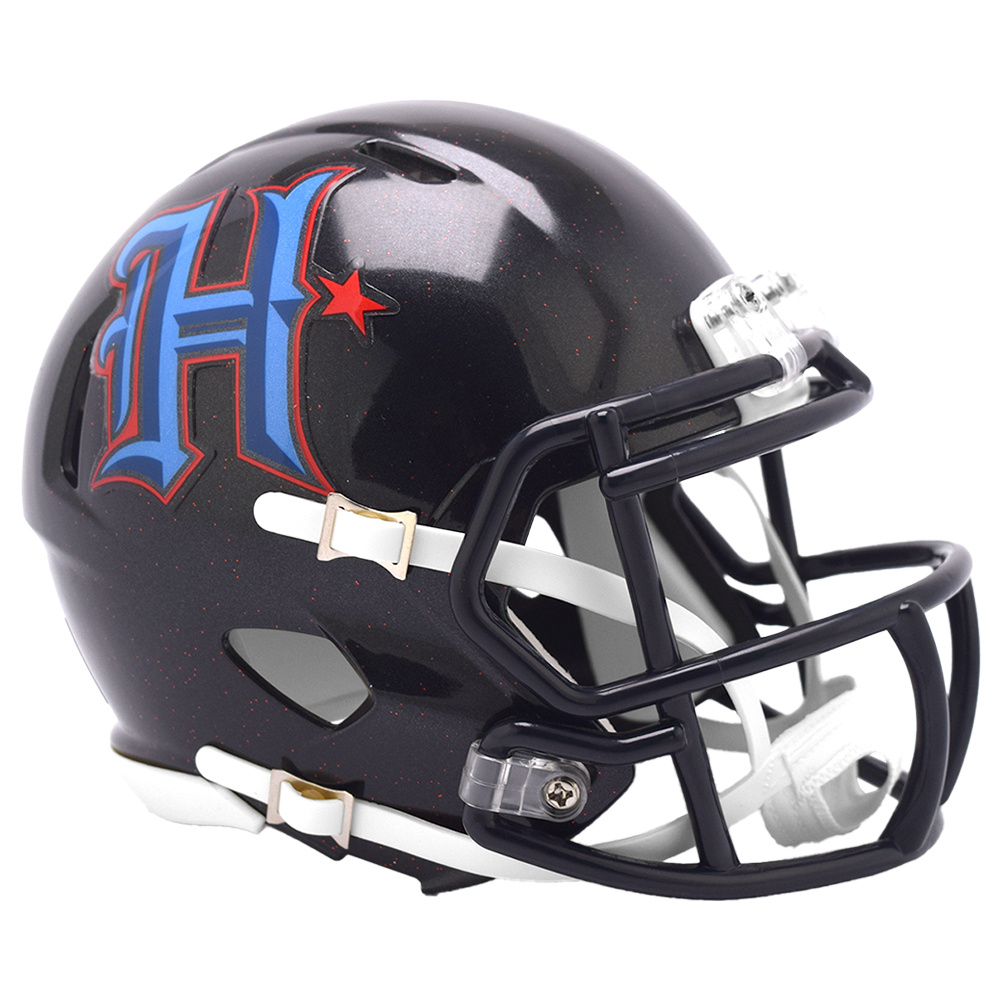 限定】リデル NFL レプリカミニヘルメット On Field Alternate