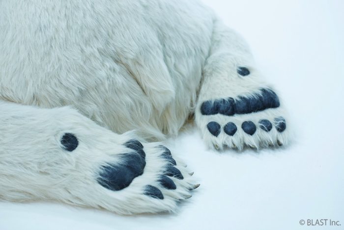 お値段なんと1,340万円！？実物大のシロクマ親子と自宅で暮らそう