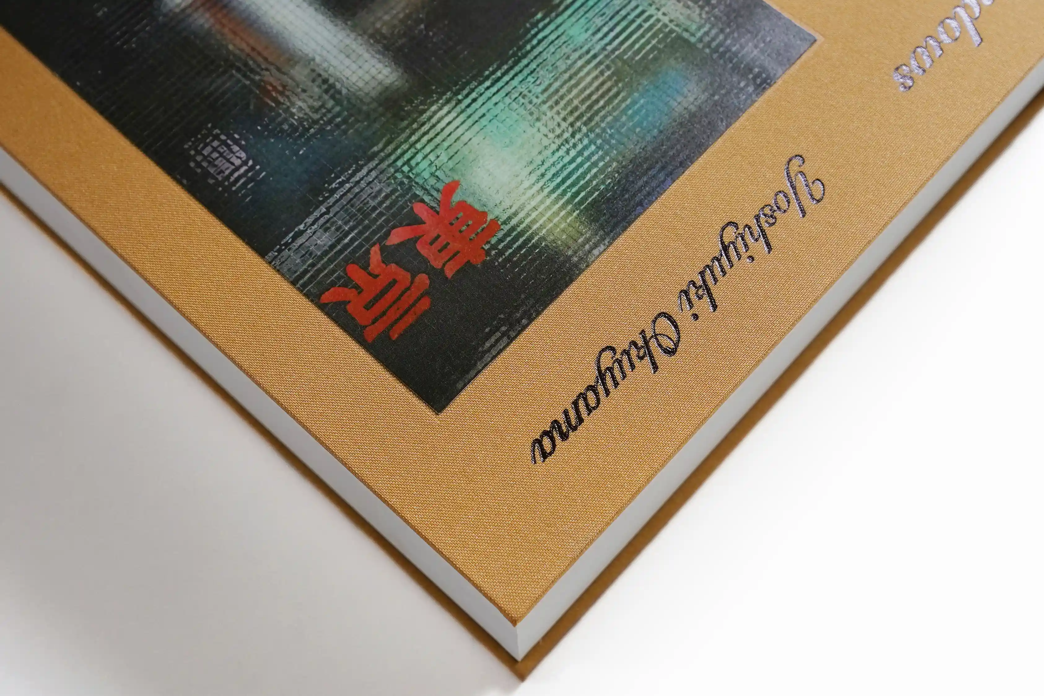 奥山由之、待望の新作写真集「windows」が発売決定！ 「東京」の窓