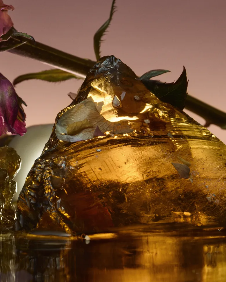 D'ORSAY、11/1（土）に新作フレグランス「HOLY BERRY」と「ROSE BLAZE