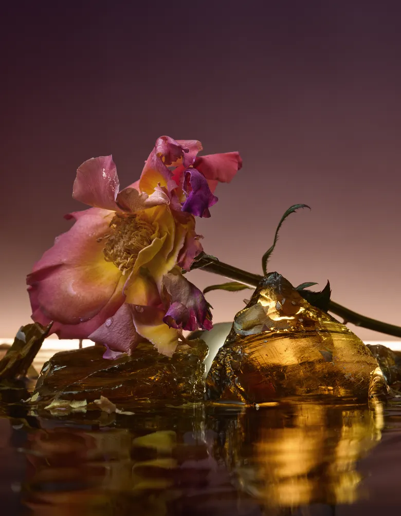 D'ORSAY、11/1（土）に新作フレグランス「HOLY BERRY」と「ROSE BLAZE