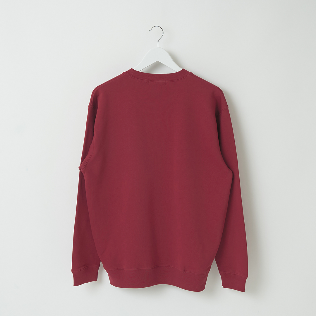 ギザギザのくるみを食べるリス