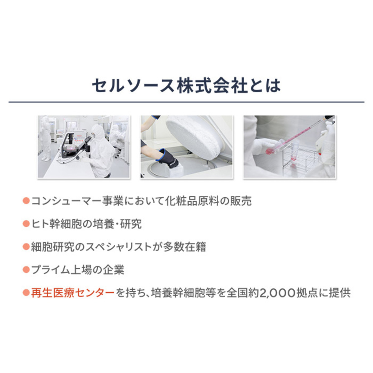 シグナリフト エクストラエンリッチ 33ml シク゛ナリフト（Signalift