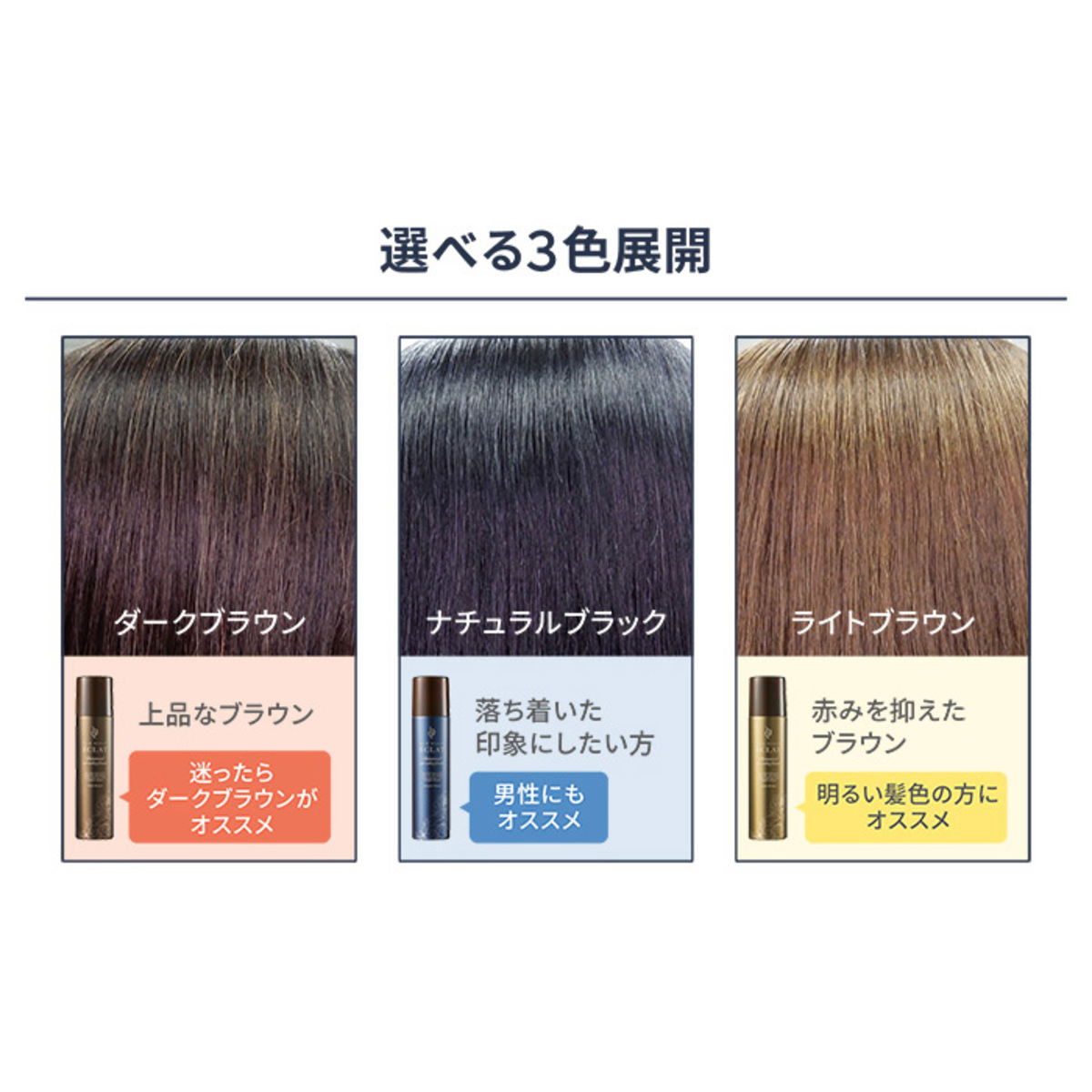 ヘアボーテエクラボタニカルエアカラーフォームup3本P付特別セット