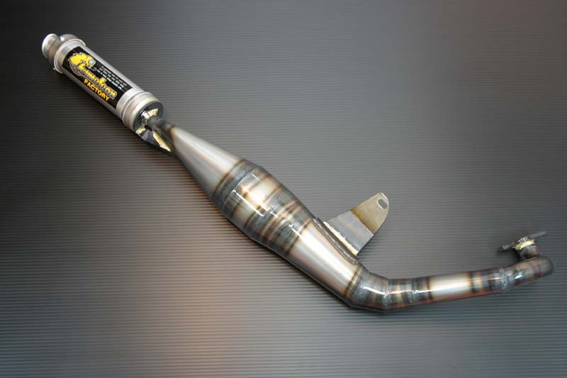 楽天市場】アクト CHAMELEON FACTORY カメレオンファクトリー パラ