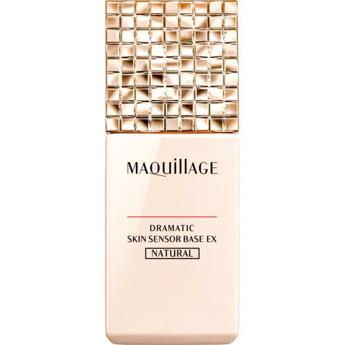 楽天市場】資生堂 MAQuillAGE(マキアージュ) デザインリメークパウダー