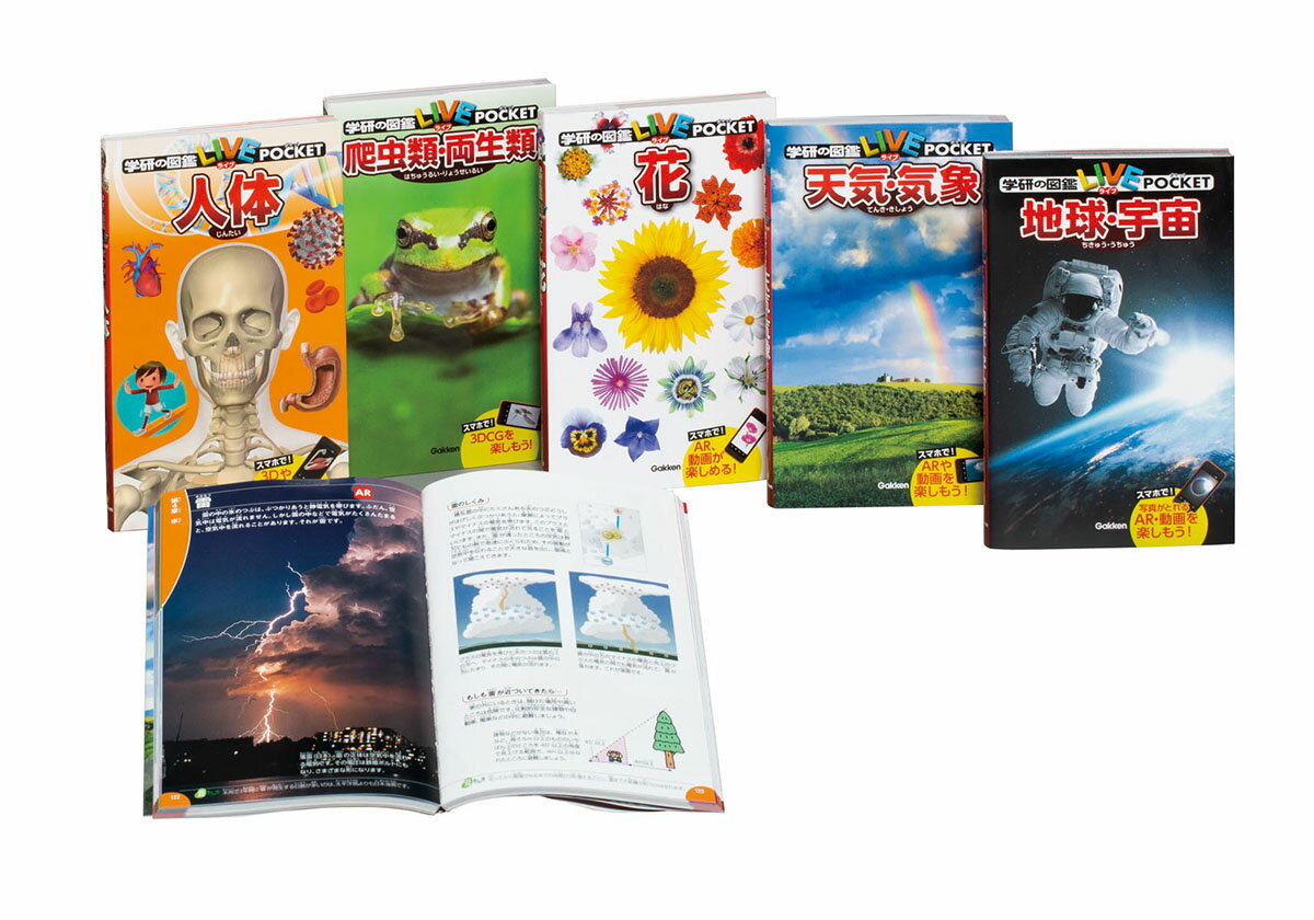 楽天市場】講談社 「講談社の動く図鑑MOVE（DVD付き）」セット