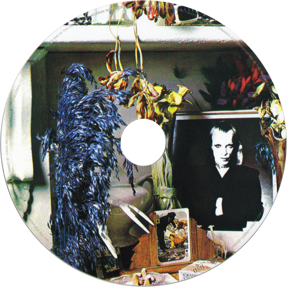 Brian Eno - Here Come the Warm Jets | TheAudioDB.com