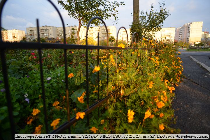 Reseña Tokina AT-X PRO 20-35mm 1:2.8 235 AF | Contento