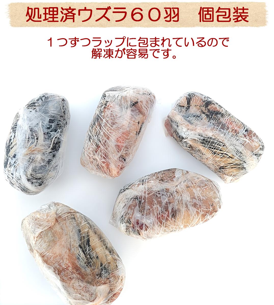 送料無料　訳あり冷凍処理済み親ウズラ200羽 ピンクS10匹冷凍コオロギサービス 道具販売 > 冷凍ウズラ処理済み 個包装60羽入り｜フクロウ・ワシ