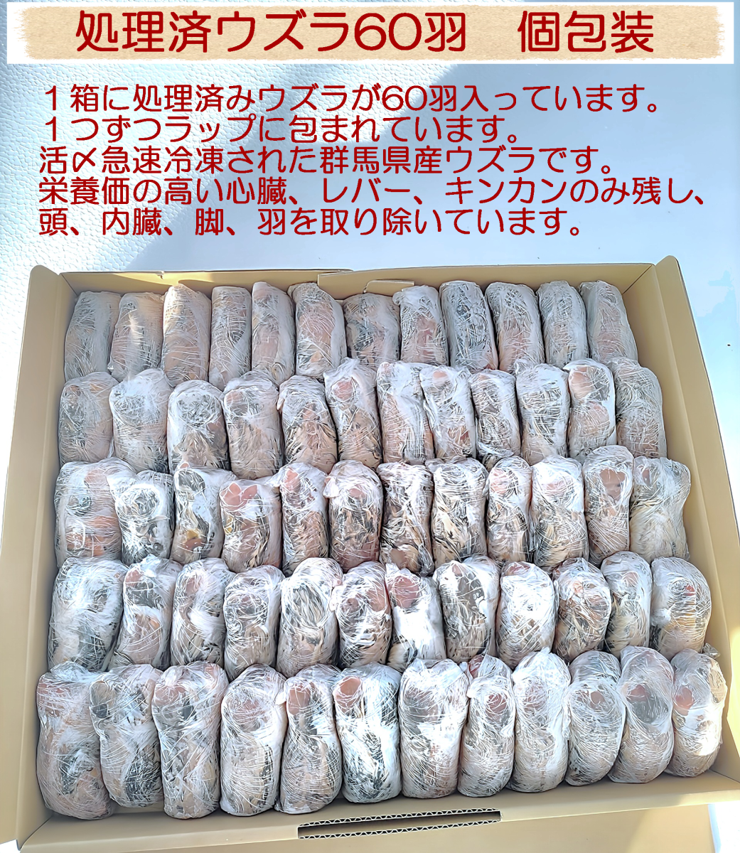 【無薬】猛禽類・爬虫類などに！！北海道産　冷凍ウズラ 100羽【未処理】 無薬】猛禽類・爬虫類などに！！北海道産 冷凍ウズラ 100羽【未処理
