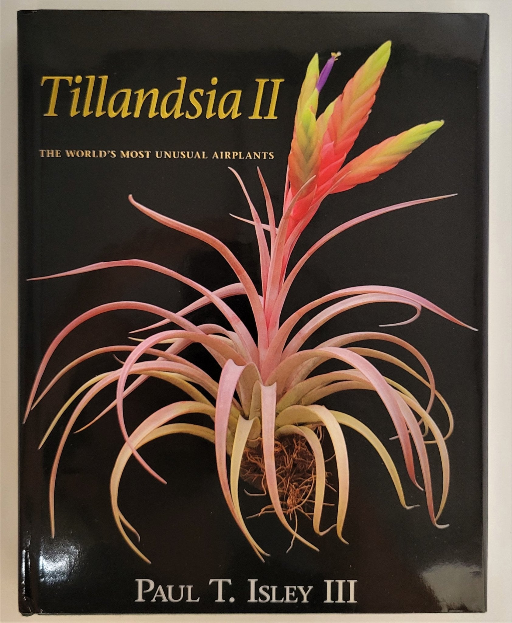 Tillandsia II, by Paul T. Isley III – Rainforest Flora