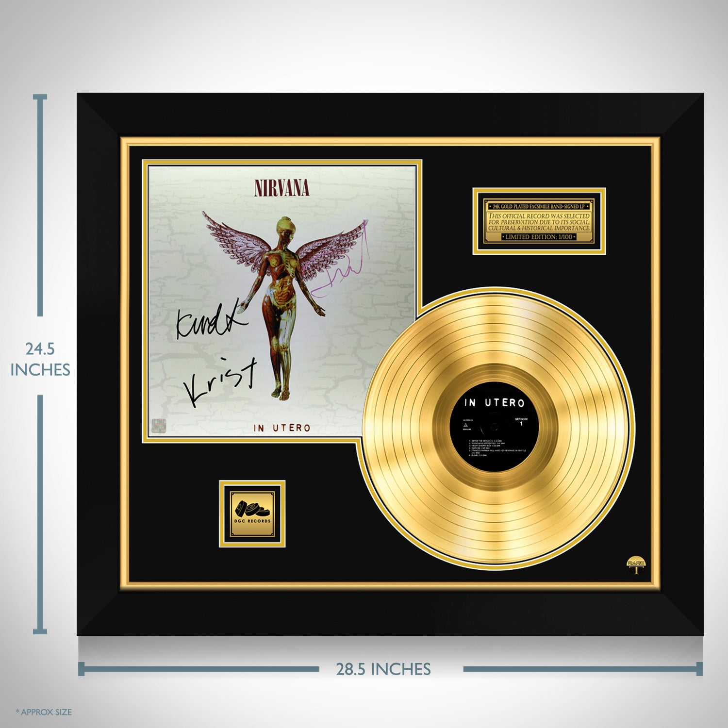 Nirvana - In Utero Gold LP Limited Signature Edition Custom Frame