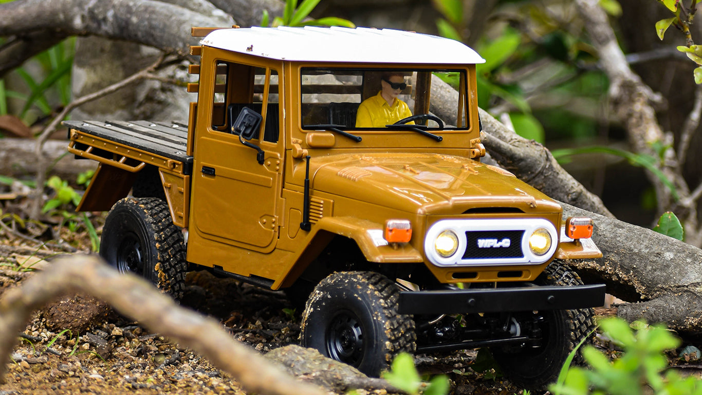 WPL JAPAN C44RTR – RAYWOOD