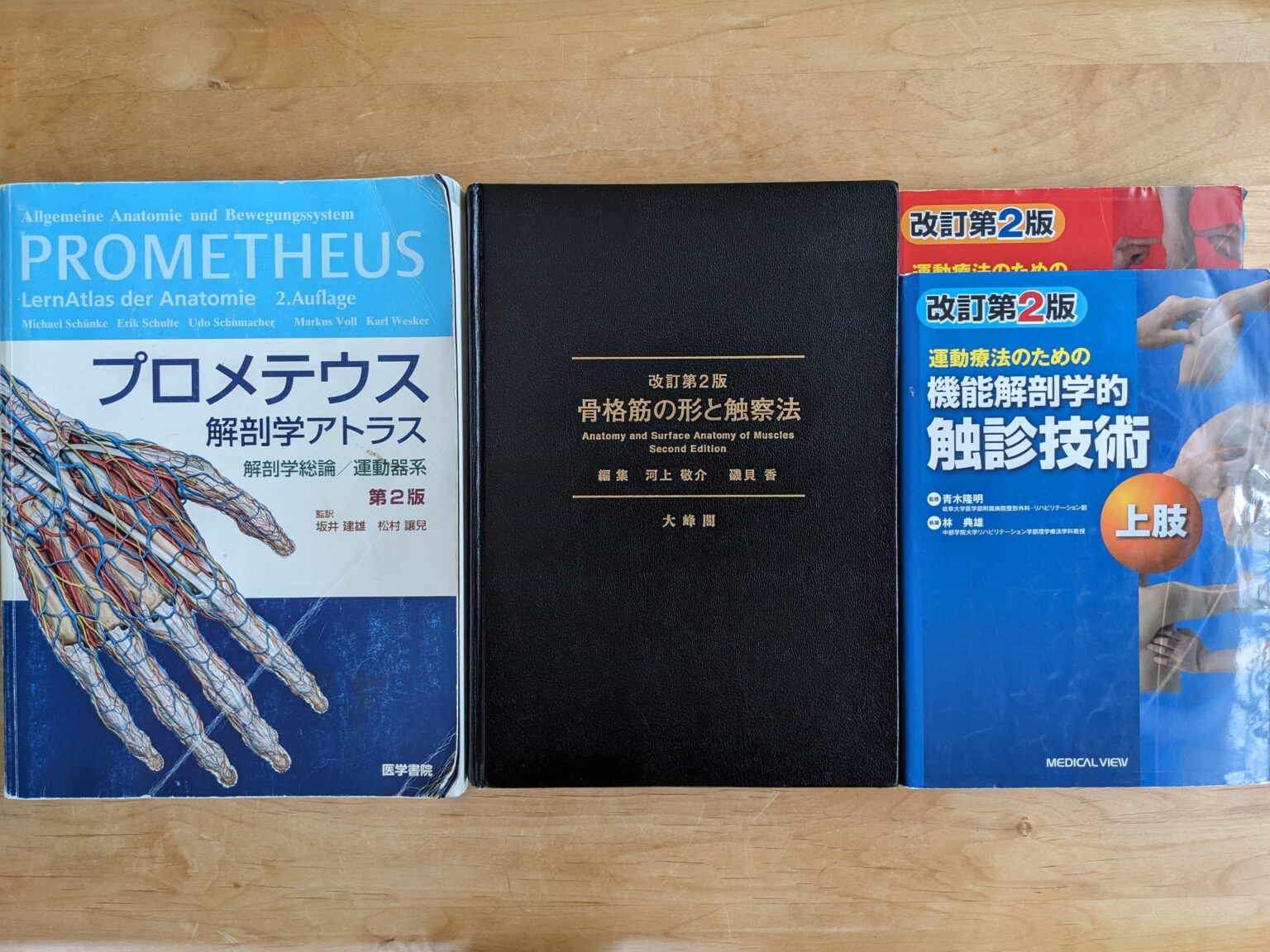 理学療法士】触診の勉強におすすめの参考書3選 – re-studyblog
