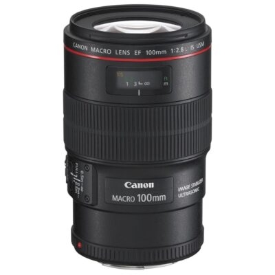 実写レビュー】Canon EF100mm F2.8L マクロ IS USM | カメラレンタルの