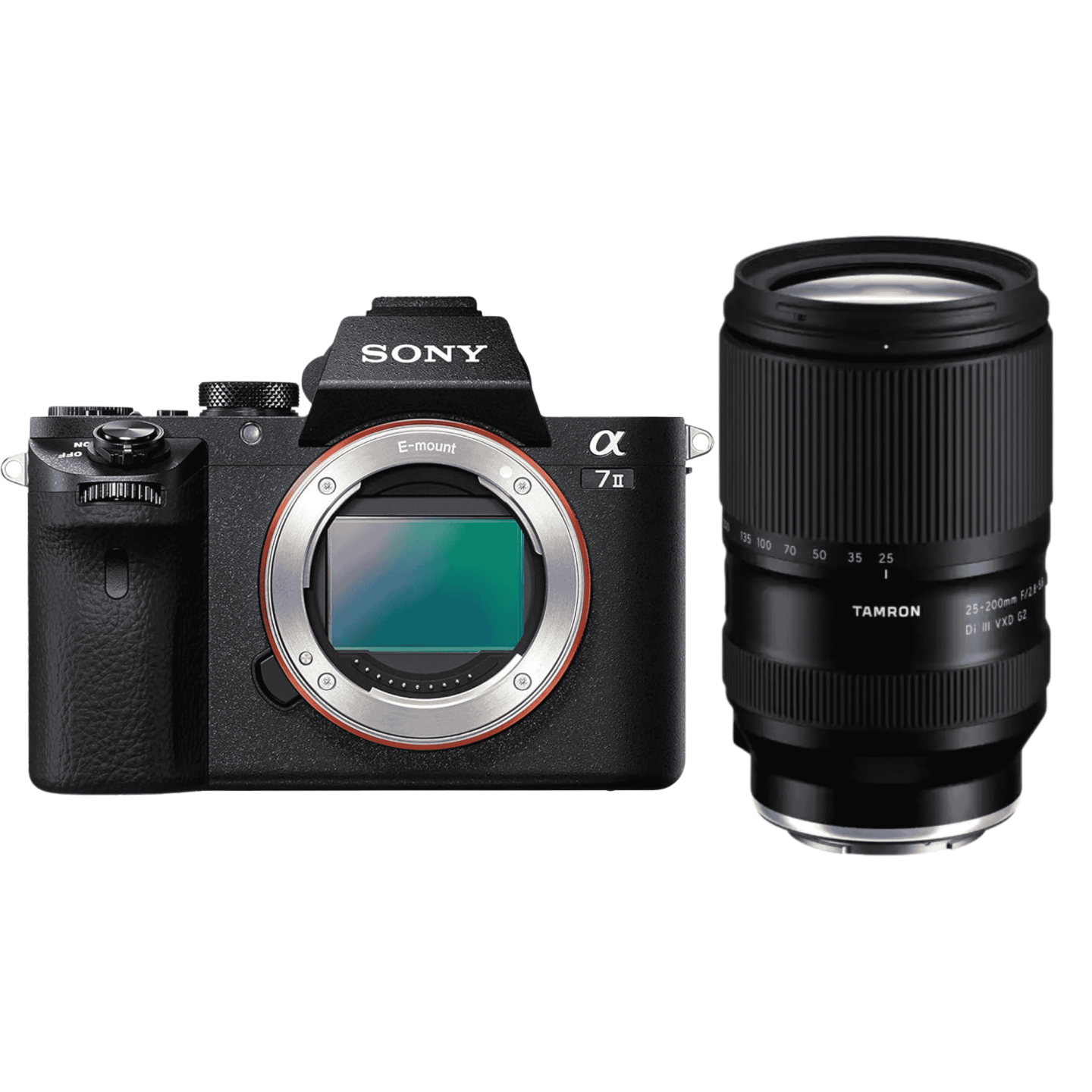 SONY（ソニー）α7 II + TAMRON 25-200mm F/2.8-5.6 【近くも遠くも撮影