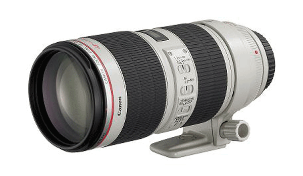 EOS 7D Canon | 映像/音響機材のレンタルサービス | 株式会社タケナカ