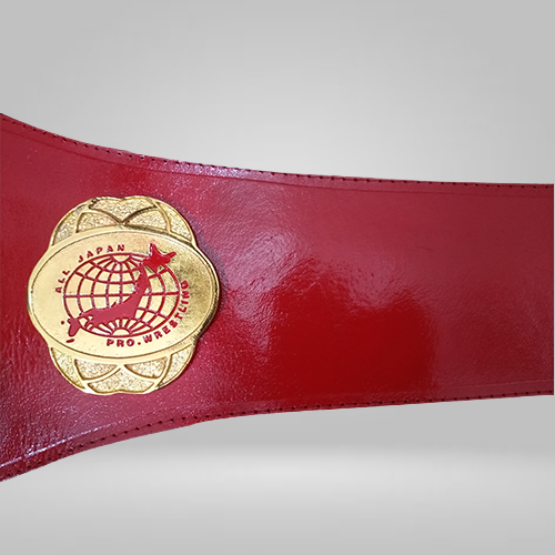 All Japan Pro Wrestling GAORA TV Title Champion Belt Seiya Dupree