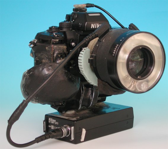 作例付き Nikon Medical NIKKOR 120mm F4 管mpr Dr. Nakamura's