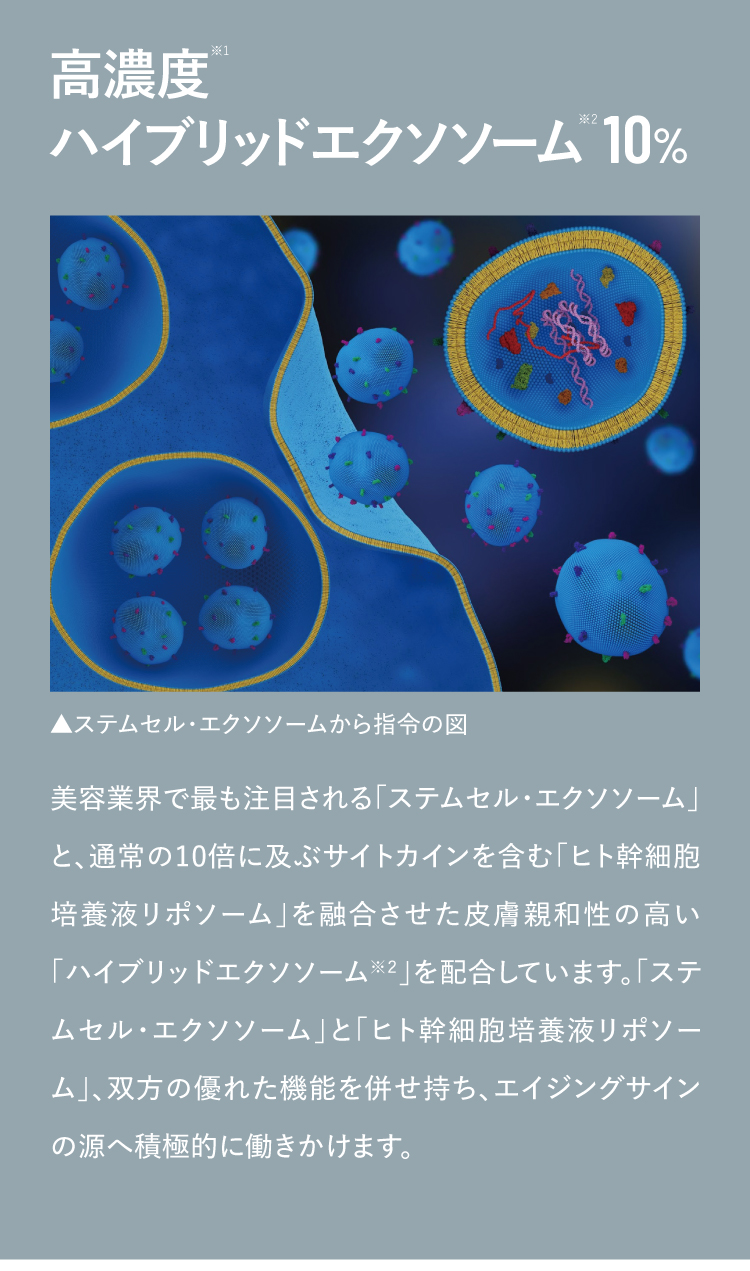 通販】CLIGRAM（カリグラム）VITAL EV 30mL ｜ Rejuva BEAUTY BAZAAR