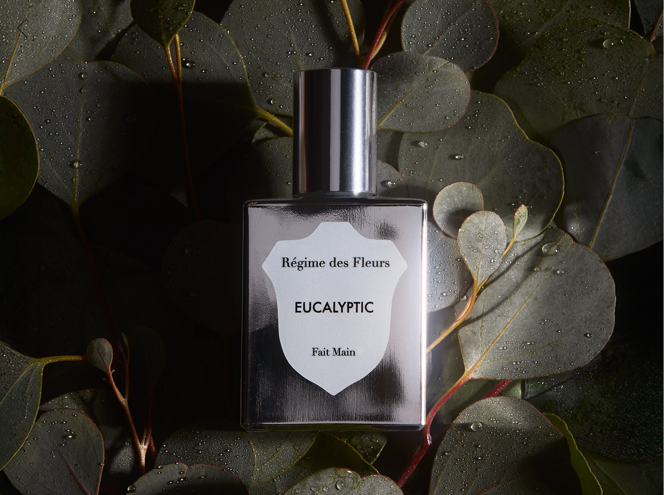 GLASS BLOOMS – Régime des Fleurs