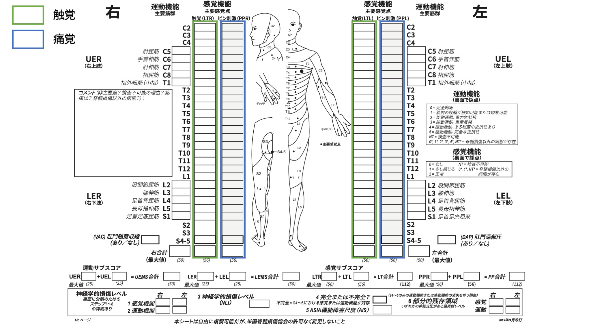 ASIA分類｜アメリカ脊髄損傷協会による脊髄損傷の神経学的分類のための