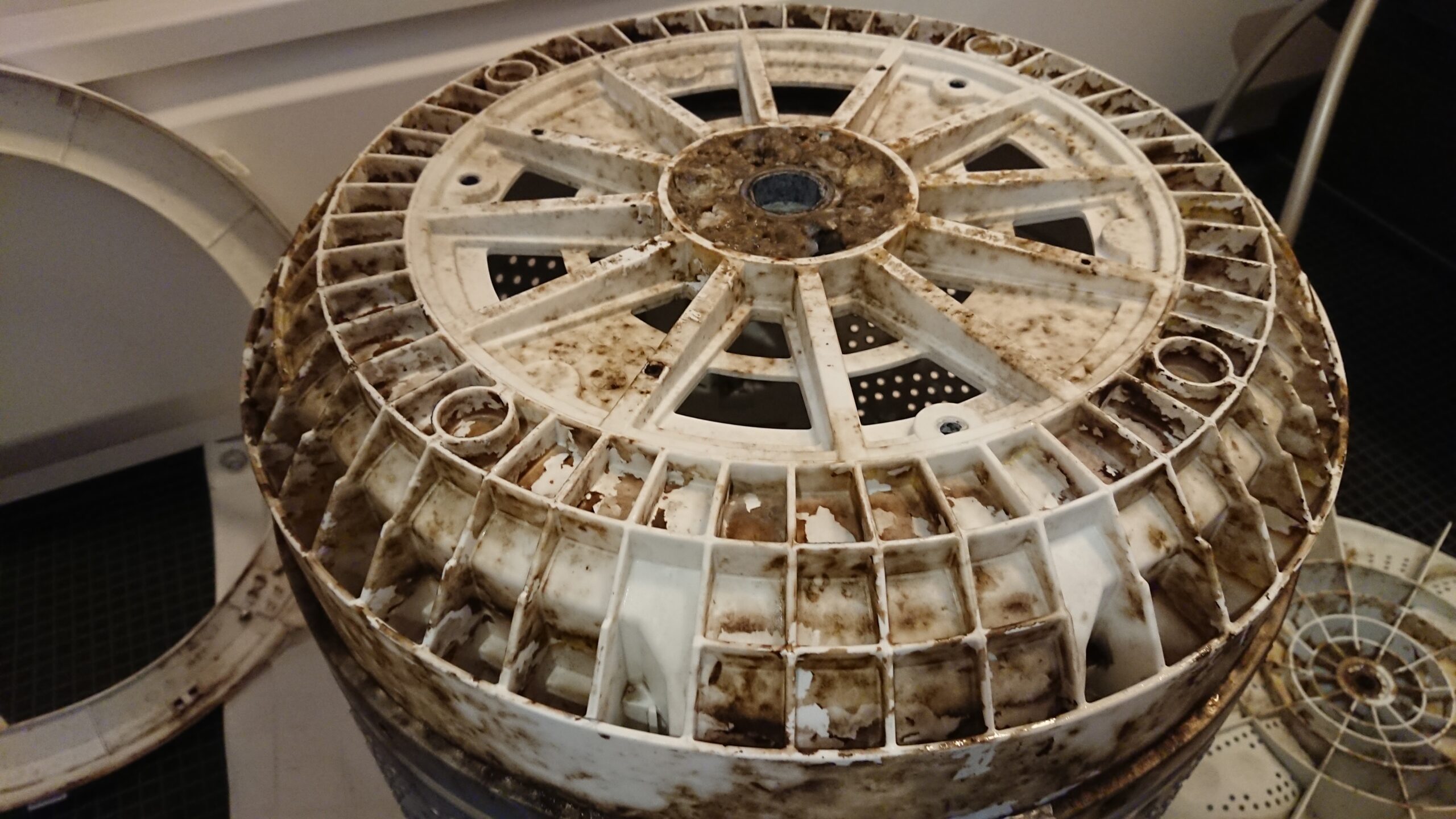 失敗談】日立のビートウォッシュは分解するときに特殊工具が必要