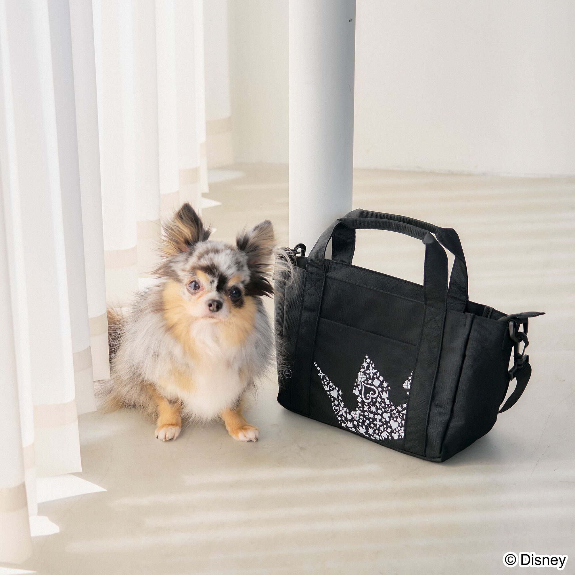Kingdom Hearts Pets Walking Bag Crown: SQUARE ENIX - Tokyo Otaku