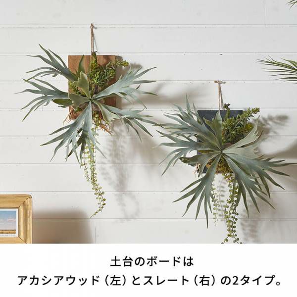 フェイクグリーン ウォールハンギング ビカクシダ アカシア 木製