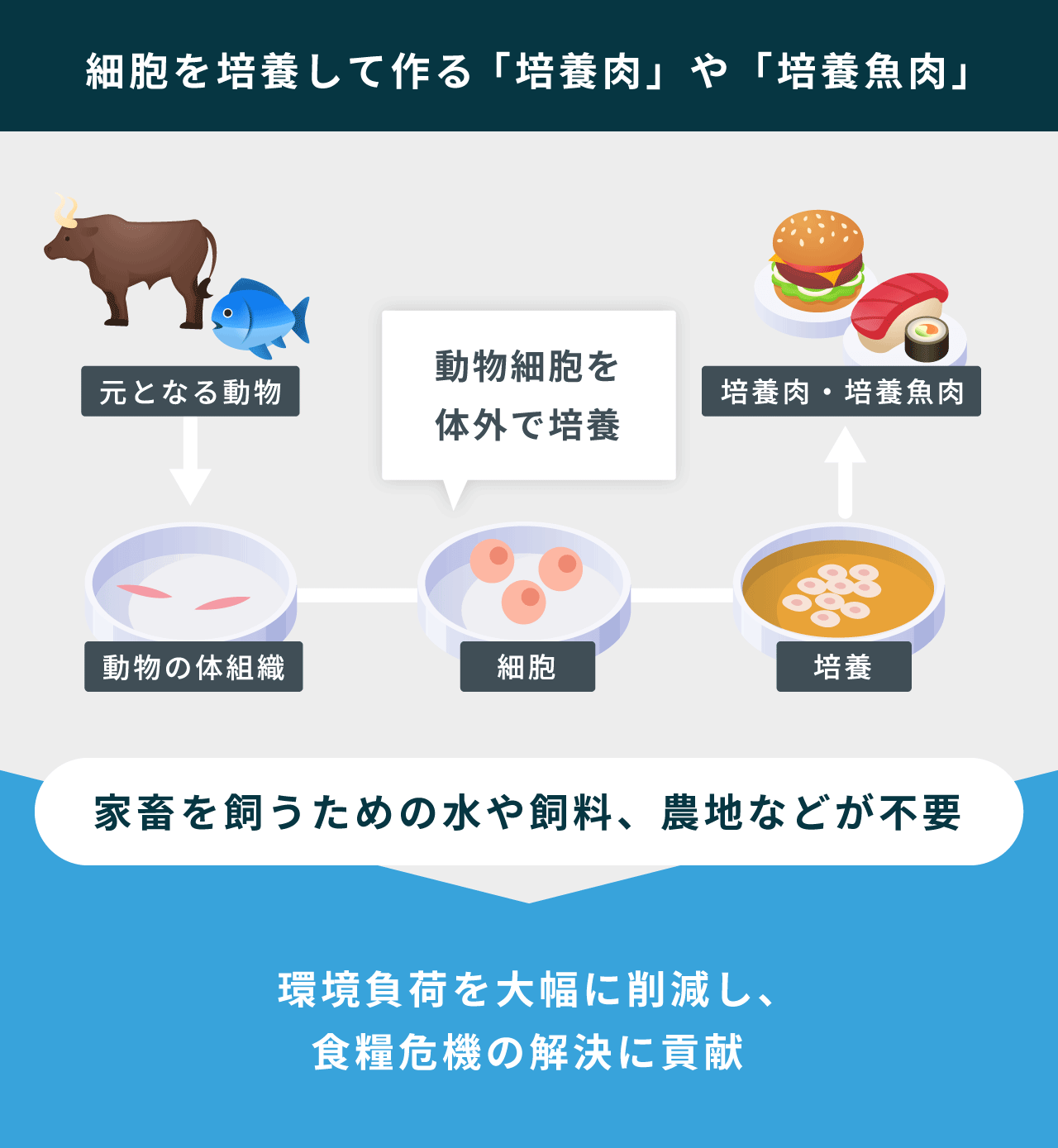 第2回】タンパク質合成の特許技術で世界に進出！食と医療の課題解決に