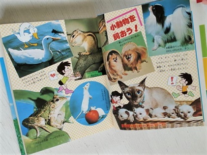 小学館入門百科シリーズ 4 ペットの飼いかた 監修 今泉吉典