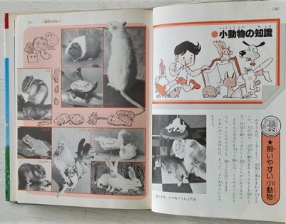 小学館入門百科シリーズ 4 ペットの飼いかた 監修 今泉吉典