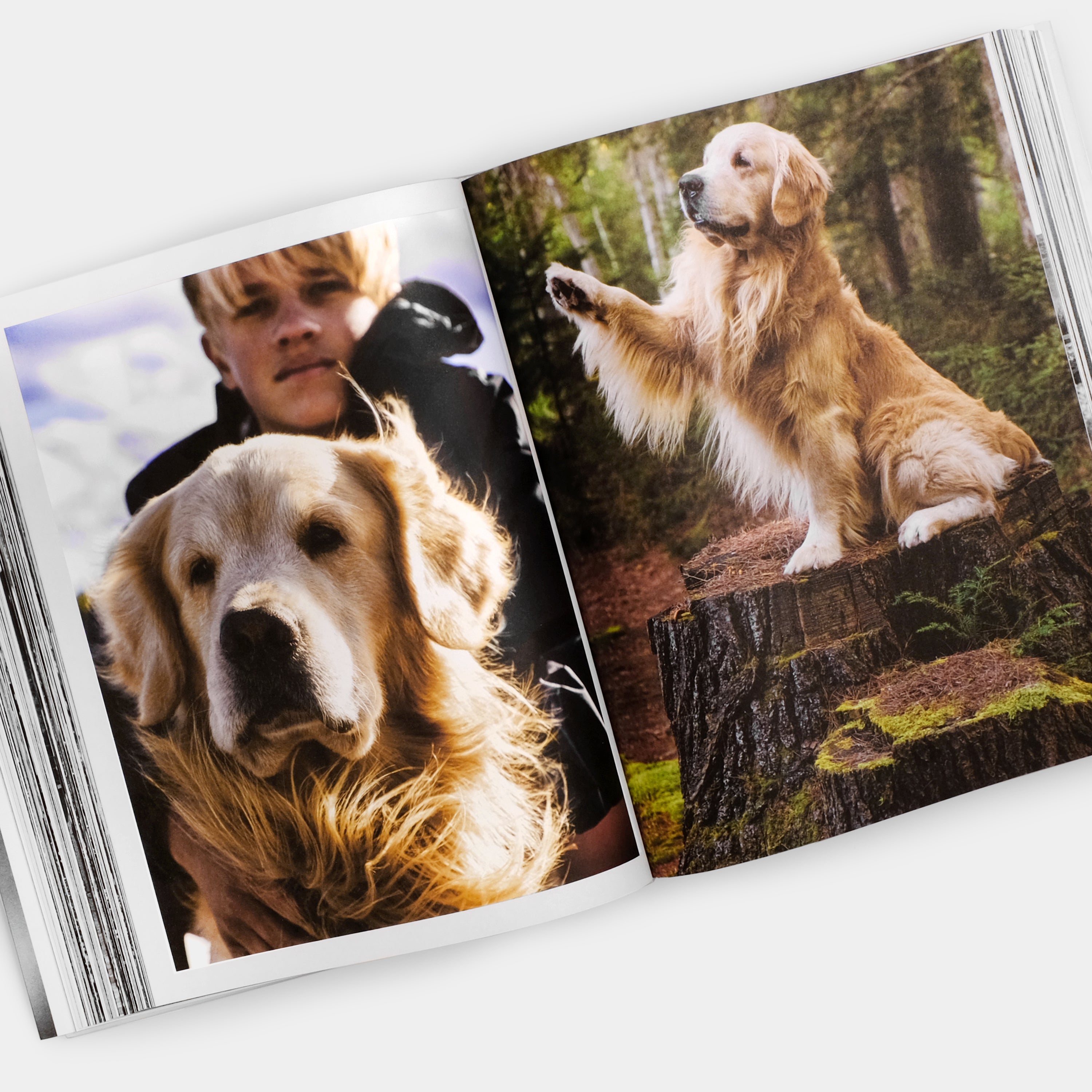 Bruce Weber. The Golden Retriever Photographic Society XL Taschen Book