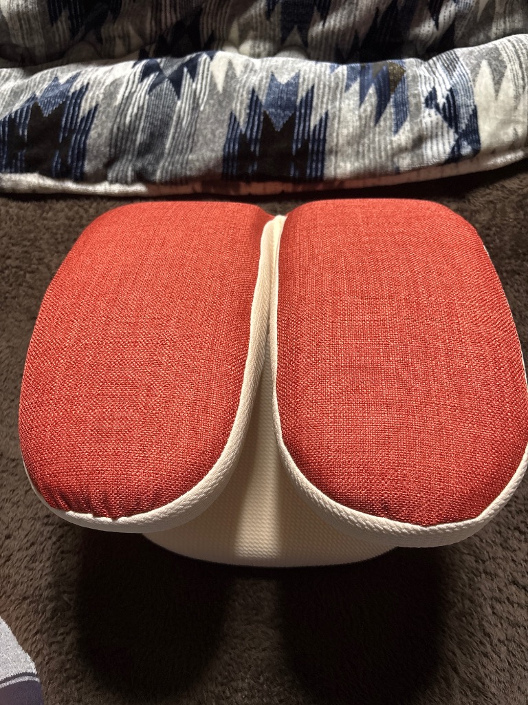 フィットネスクラブがつくった バウンドクッション Twin (ツイン