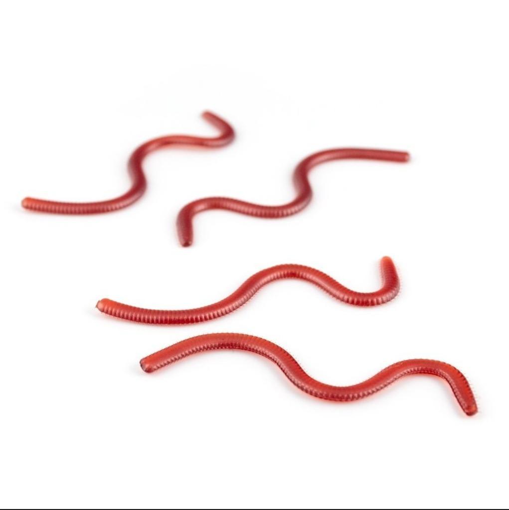 オルルド釣具 ソフトルアー ミミズ ワーム 20個入り 疑似餌 ロング