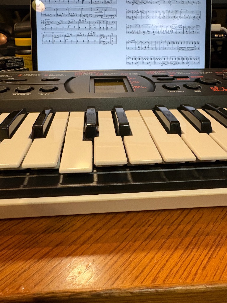 CASIO（カシオ） ミニキーボード Casiotone ブラック ［44ミニ鍵盤