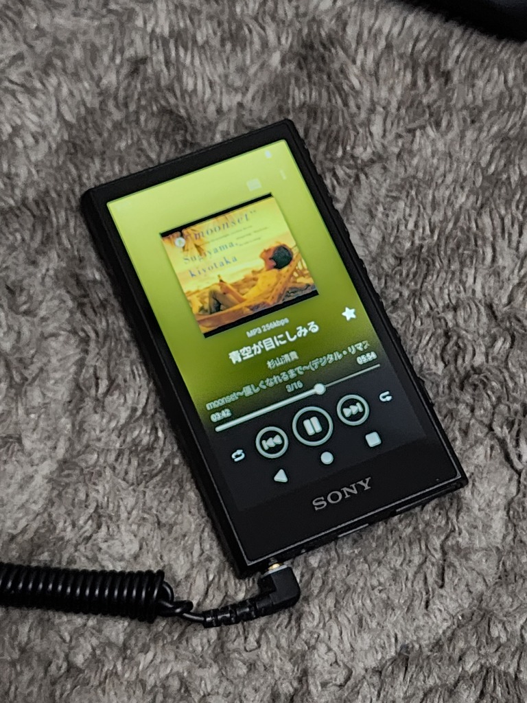SONY ウォークマンAシリーズ 64GB NW-A307（B） ブラック WALKMAN