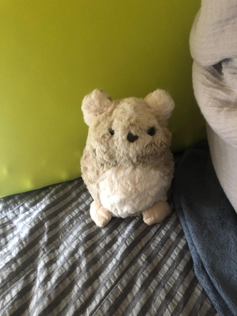 限定一個 アウトレット商品 Purrble テレビやYoutubeで話題沸騰中 日本