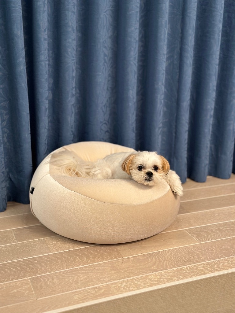 Francfranc（フランフラン） クッション クッションカバー プレジール